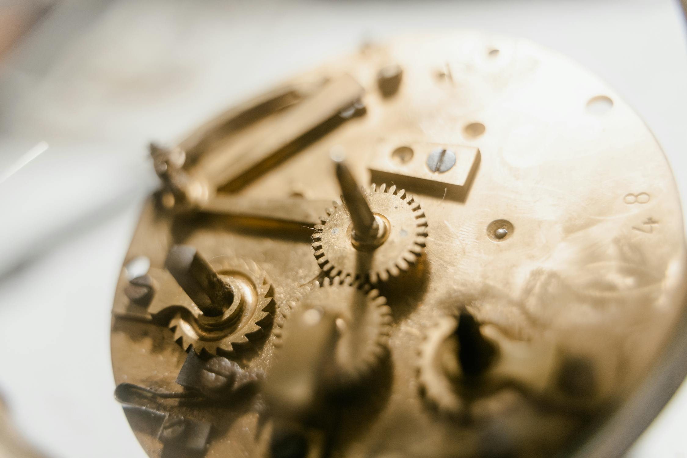 Mecanismo de relojería en detalle